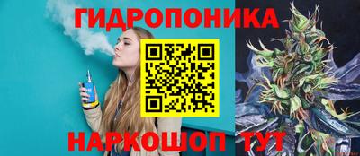 Альфа ПВП Будённовск
