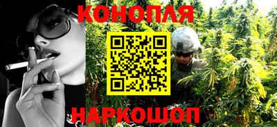 Альфа ПВП Будённовск